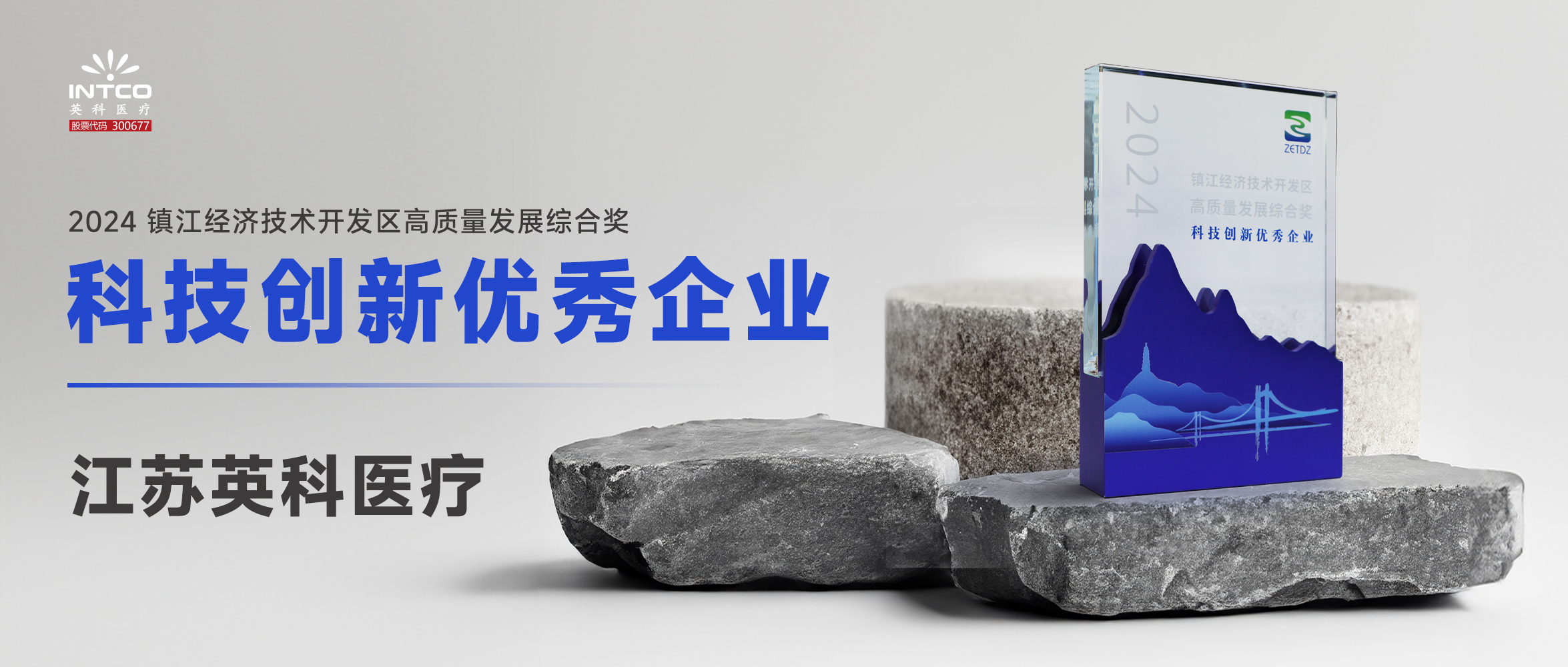 江苏乐发welcome医疗荣膺镇江经济技术开发区“高质量发展综合奖-科技创新优秀企业”